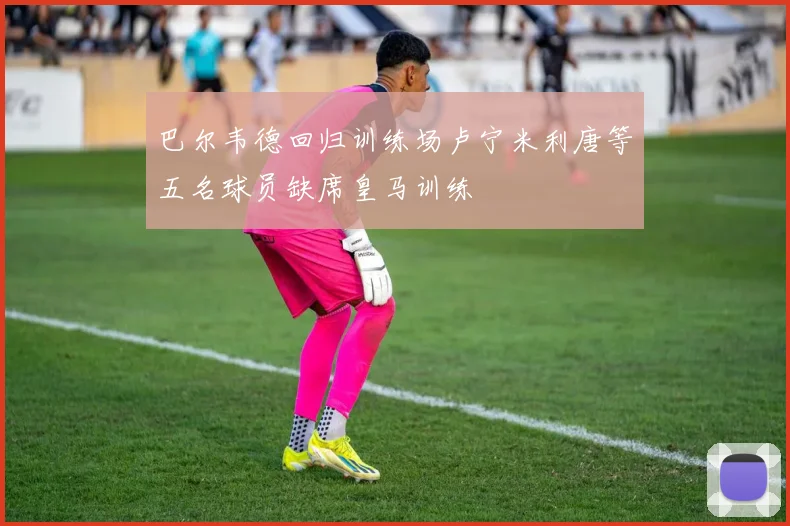 巴尔韦德回归训练场卢宁米利唐等五名球员缺席皇马训练